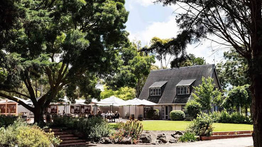 240831 Courtyard Lunch at Scotchman’s Hill (Drysdale) | Saturday 31st August @ 12:30